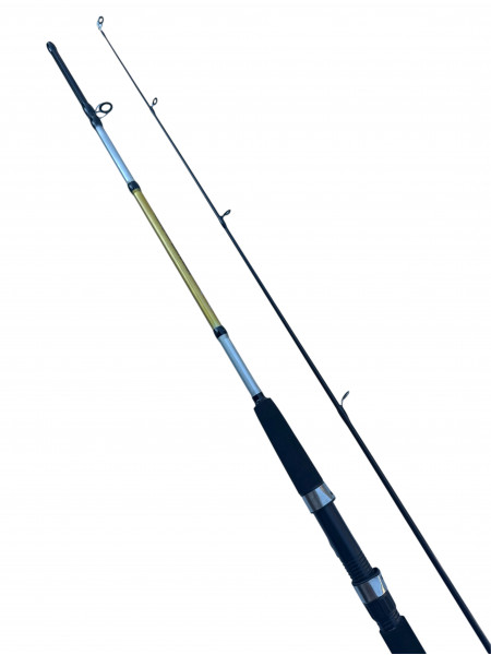 Спиннинг штекерный WEI 068 PRION, тест 5-20гр, 2.1м